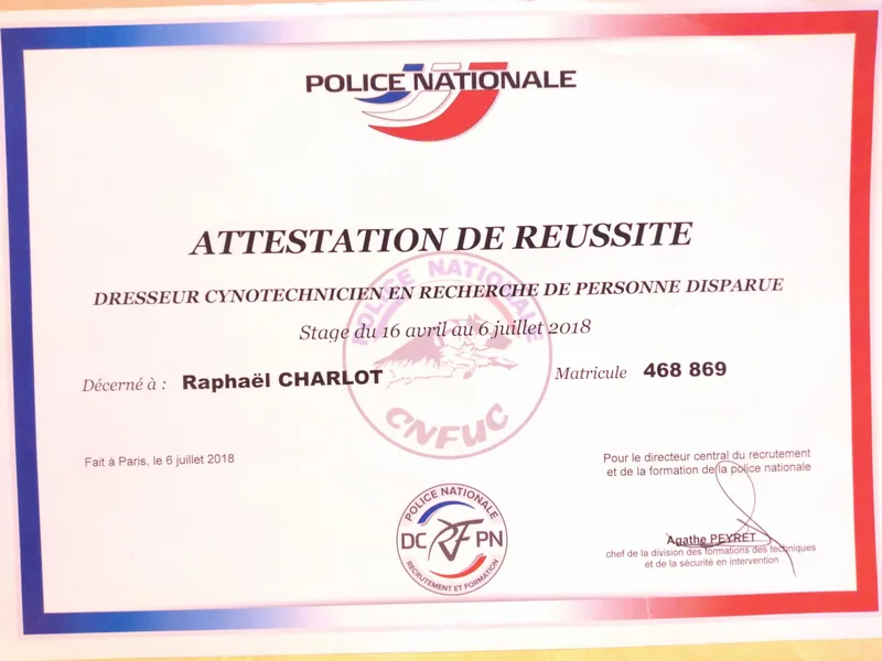 Séance de travail olfactif COOLK9